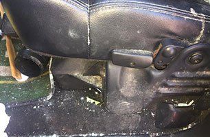 mold under the seat