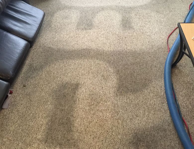 carpet