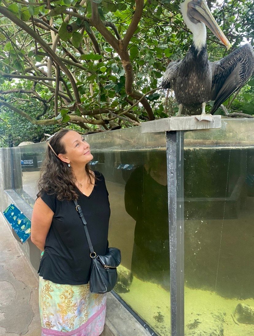 A mental health counselor gazing warmly at a pelican, showing how connection with nature can be part of therapeutic practice.