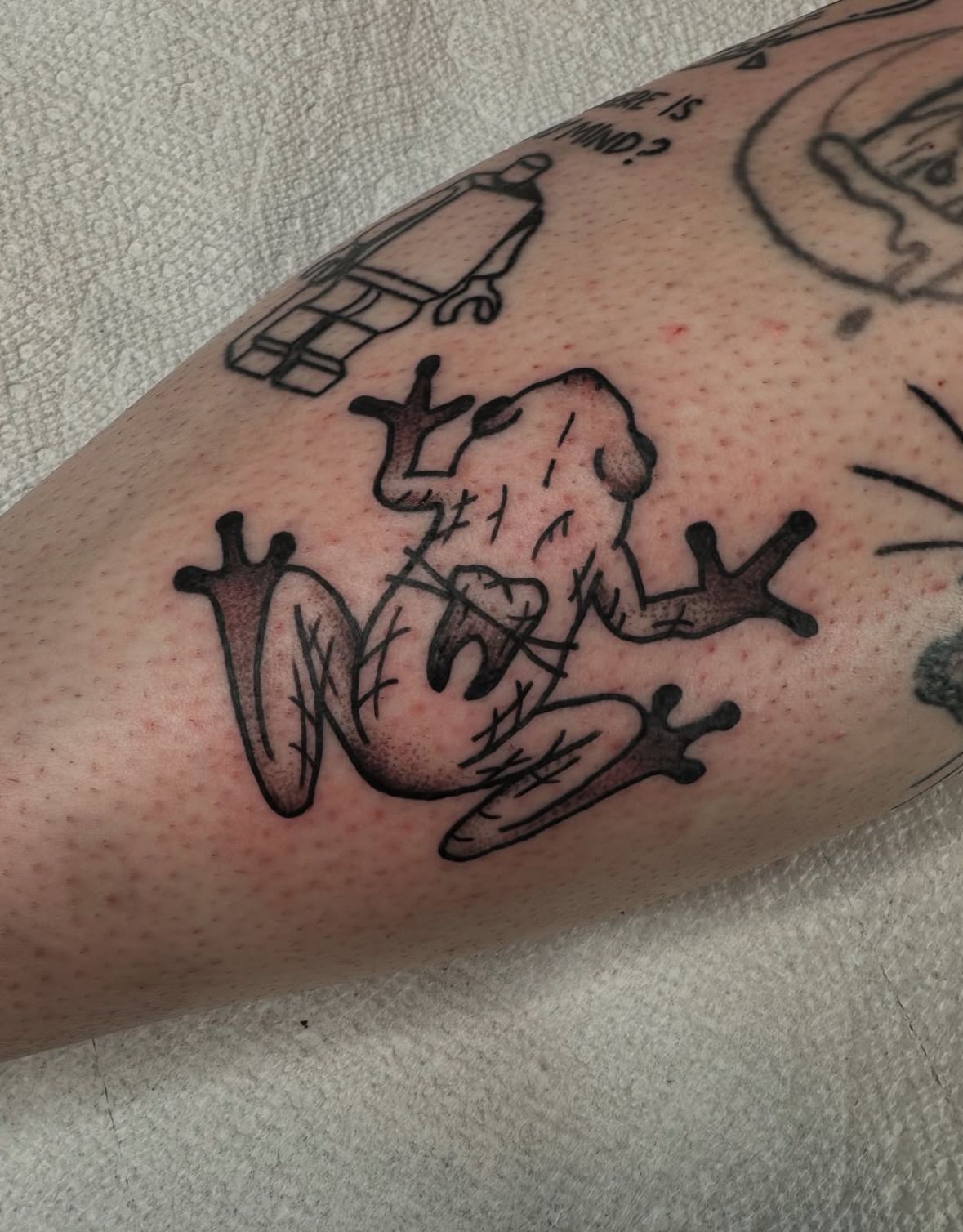 A person has a tattoo of a frog on their arm