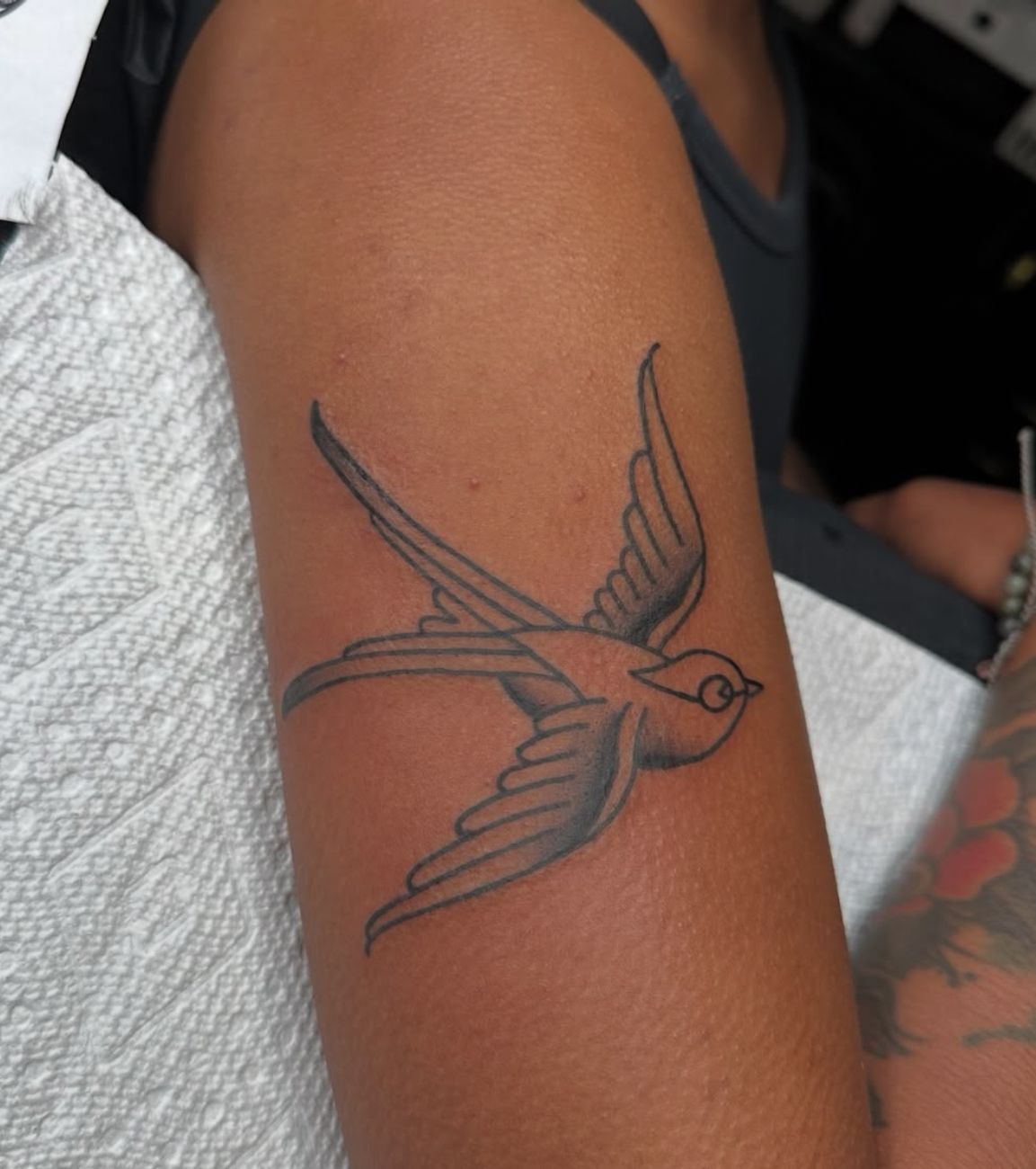 A woman has a tattoo of a bird on her arm