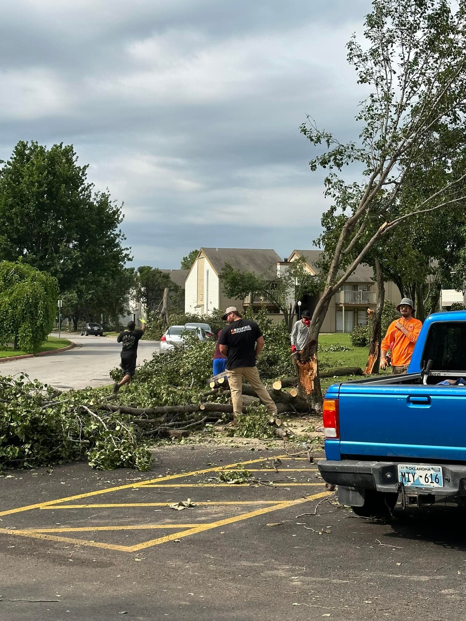 A blue truck is parked in a parking lot next to a fallen tree.
