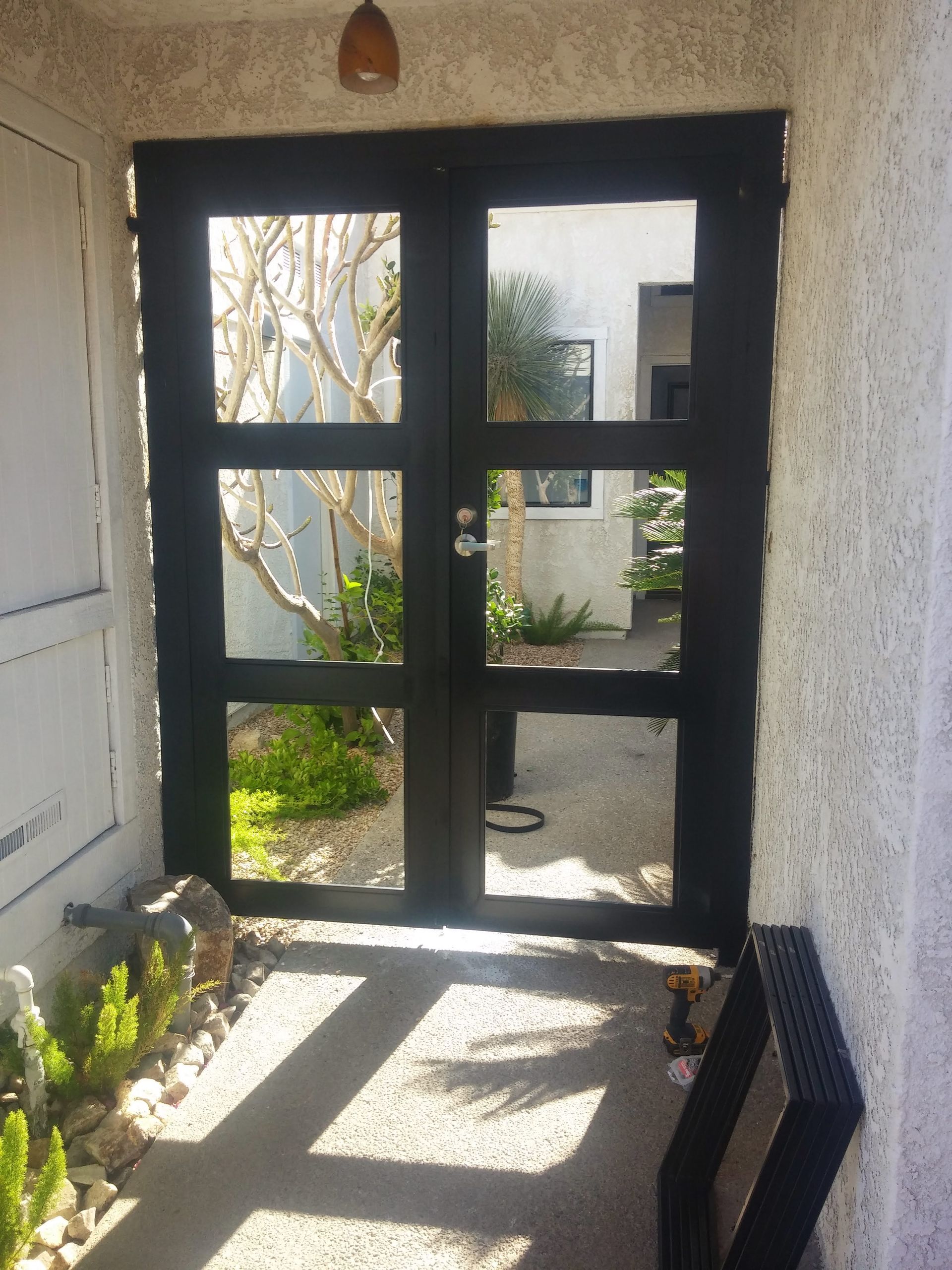 A black door with a reflection of a tree in it