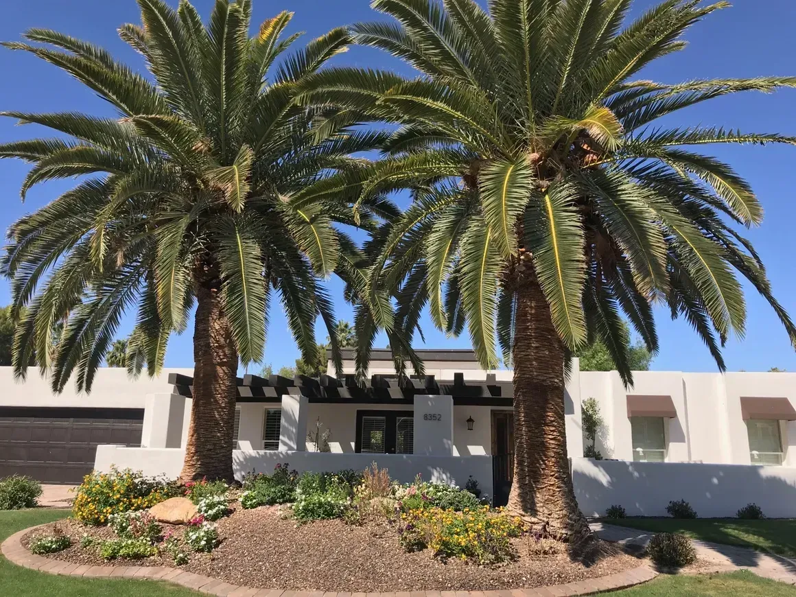 A house with palm trees in front of it