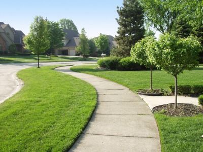 A winding concrete sidewalk through a green grassy residential area with trees and houses.