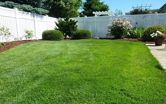 Green lawn, white picket fence, shrubs, and flowers in a sunny backyard.