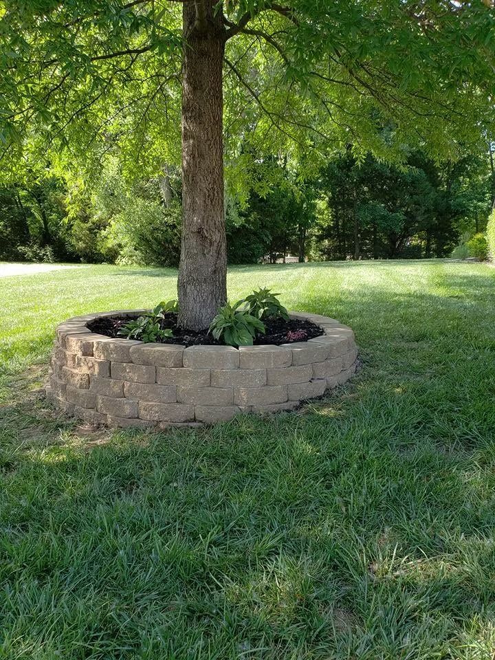 Tree trunk surrounded by a circular, raised stone planter with greenery, in a grassy yard.