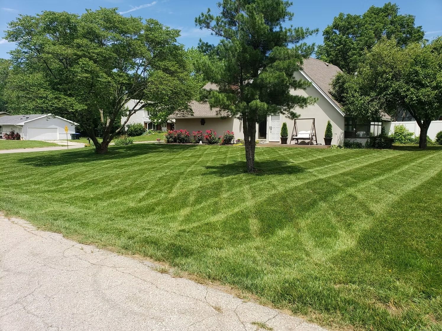 Lawn with alternating stripes in front of a house, trees, and a gravel driveway on a sunny day.