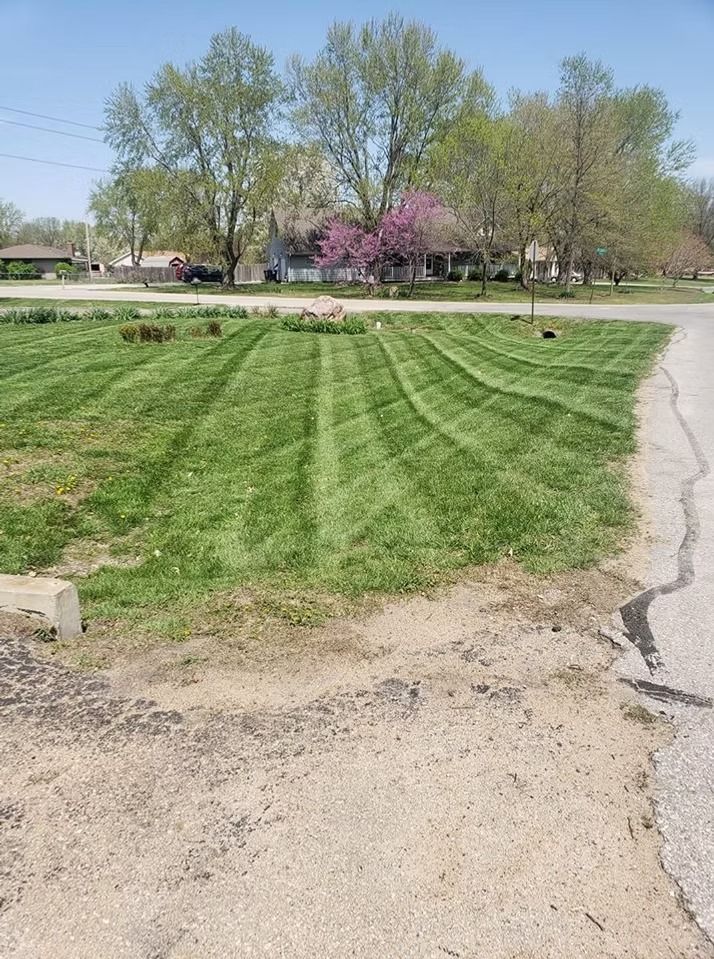 Lawn mowed in stripes; trees and houses in the background; sunny day.