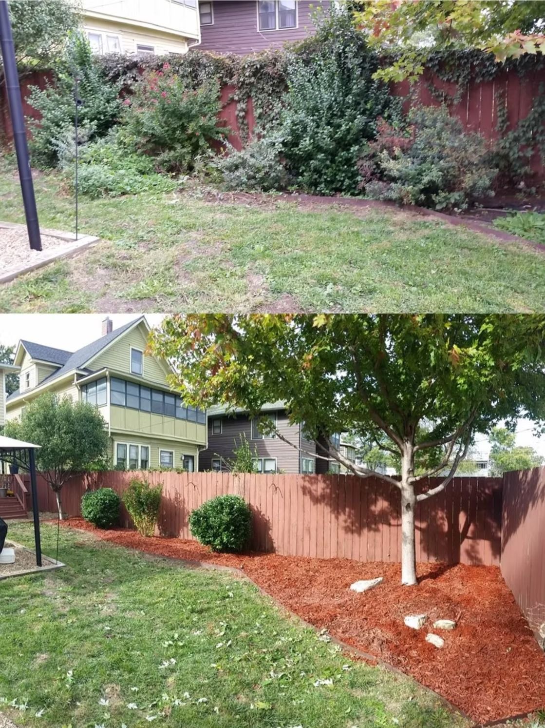 Before and after photos of a yard; before shows overgrown bushes, after shows trimmed plants with mulch.