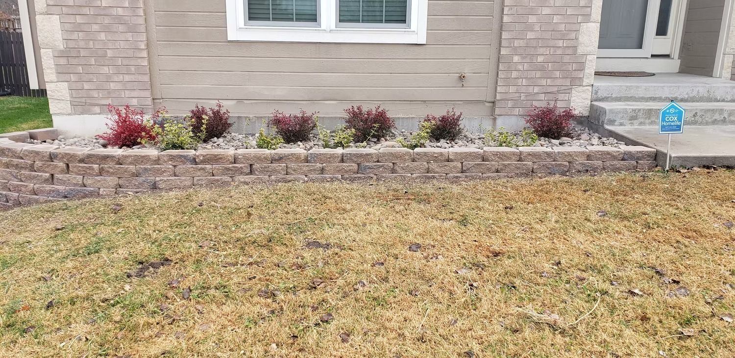 Low brick wall with shrubs and dry grass in front of a house.