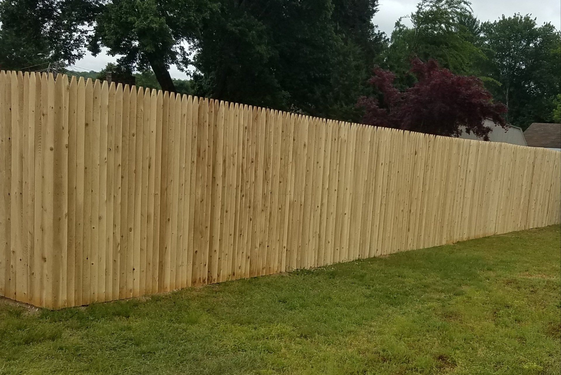 Wood fencing