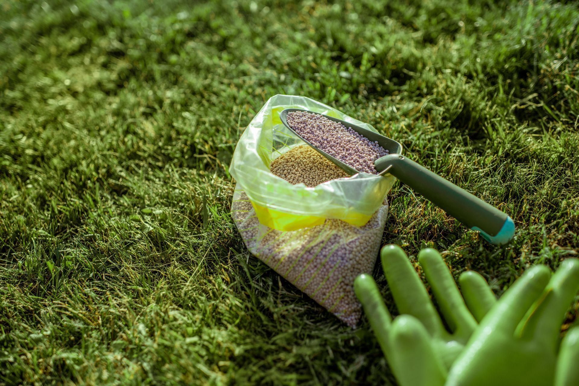 A plastic bag of fertilizer with a small scoop resting on top, placed on a lawn next to a green gardening glove.