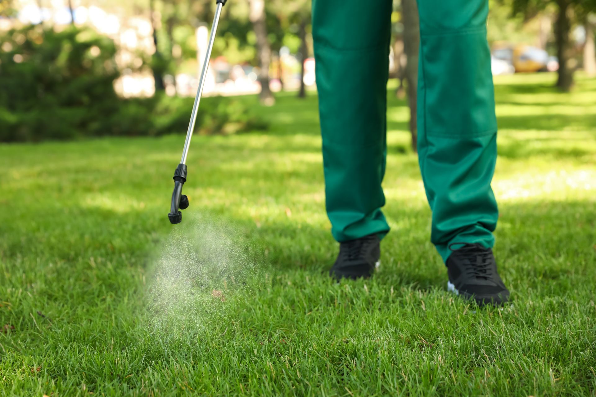 A person in green trousers spraying liquid onto a bright green lawn in a park.