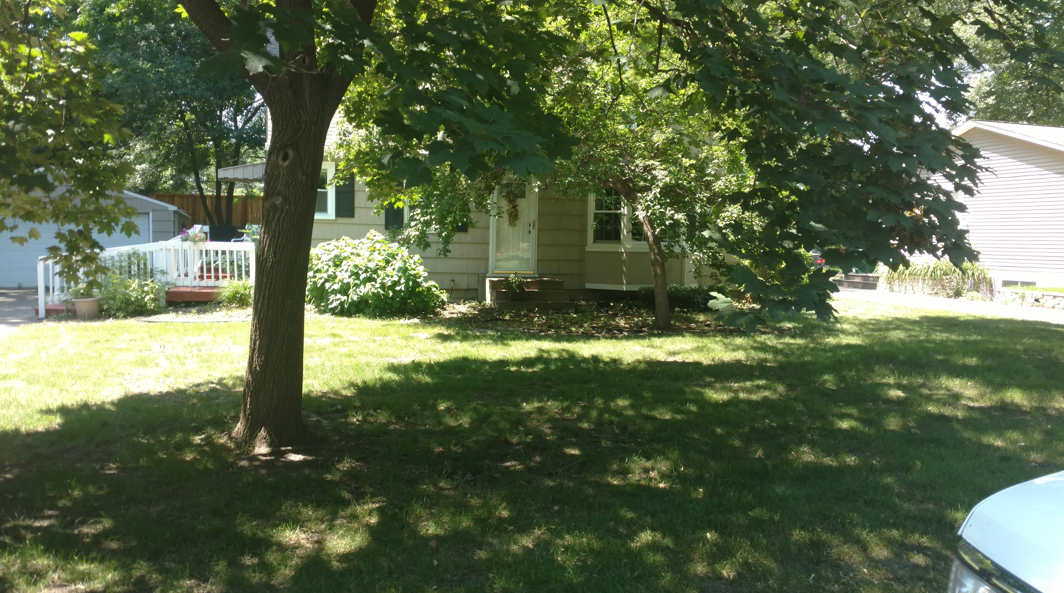 A house with light-colored siding and a white front deck is partially shaded by large trees in a sunlit grassy yard.