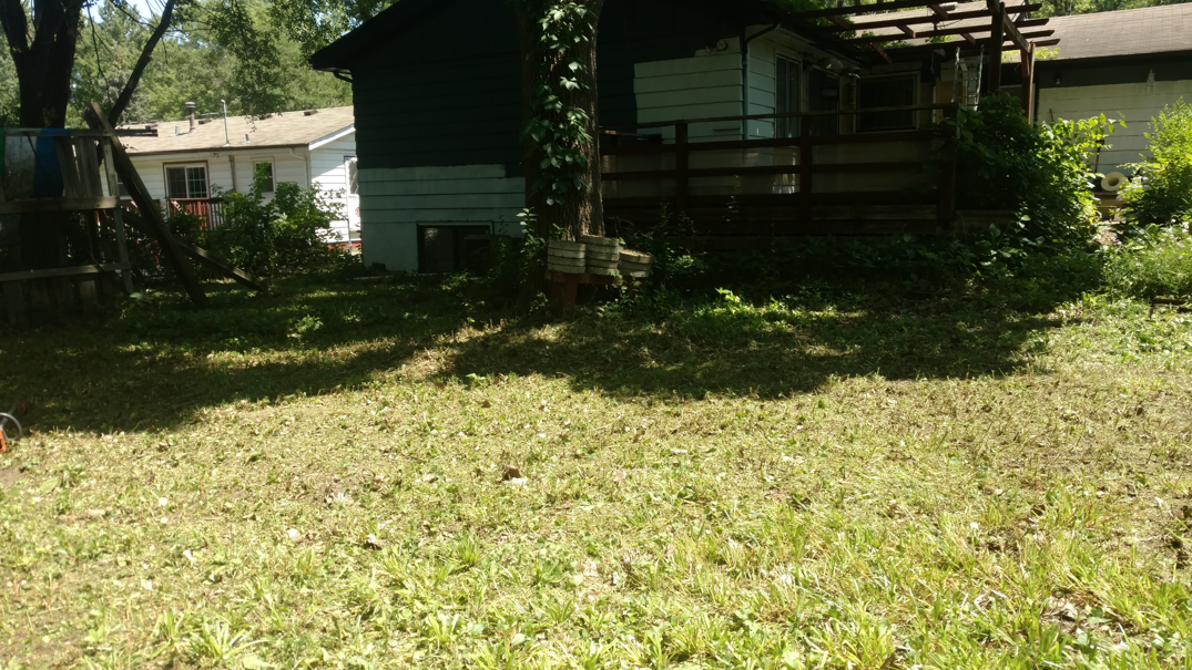 A grassy yard leading to a dark wood shed and a partial view of a neighboring house under a bright, sunny sky.