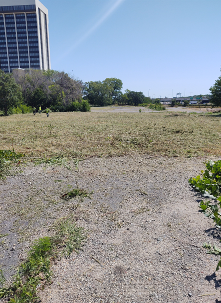 A gravel foreground transitions to a mown grassy field, with trees and a tall building in the background under a blue sky.