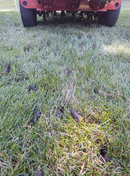 A lawn aerator sits on green grass, leaving behind small plugs of soil and turf in its path.