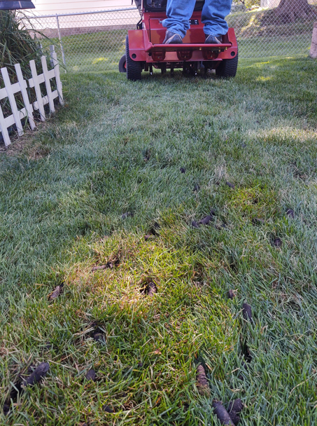 A person standing on the back of a red lawn mower in a backyard with a white fence, with patches of grass in the foreground.