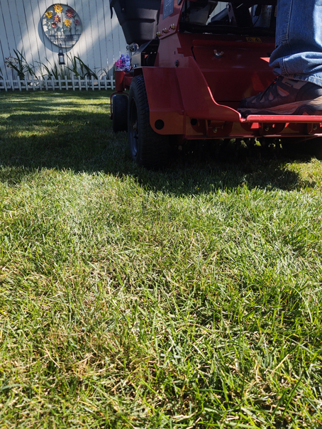 A person stands on a red lawn mower in a backyard with a white fence and decorative wall art in the background.