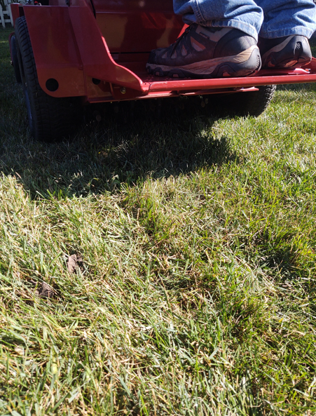Feet in hiking shoes standing on the metal frame of a red utility trailer outdoors over a grassy lawn.