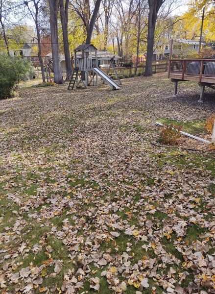 A residential backyard covered in fallen autumn leaves, featuring a wooden playground structure and a raised deck.
