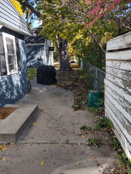 A concrete walkway runs between a blue house and a weathered white fence, leading to a tree and yard with fallen leaves.