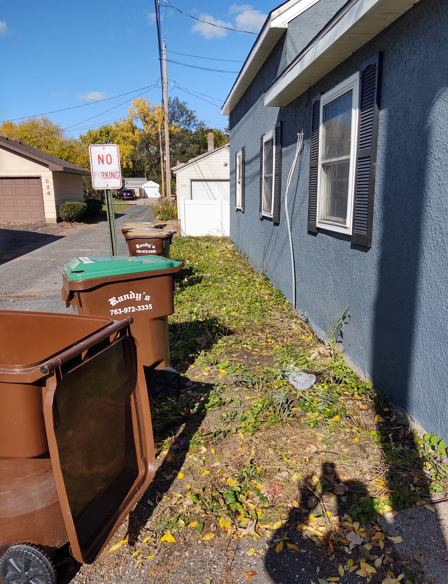A narrow strip of dirt and weeds along the side of a blue house with trash bins nearby and a no parking sign.