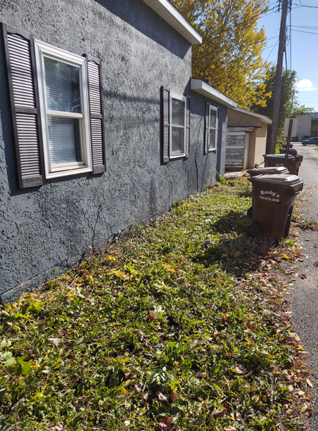 A dark gray stucco house wall with two windows and shutters, alongside a patch of low green plants and several trash bins.