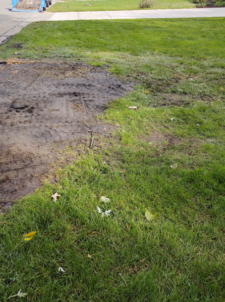 A patch of dirt and disturbed soil bordering a green residential lawn, with a sidewalk and driveway in the background.