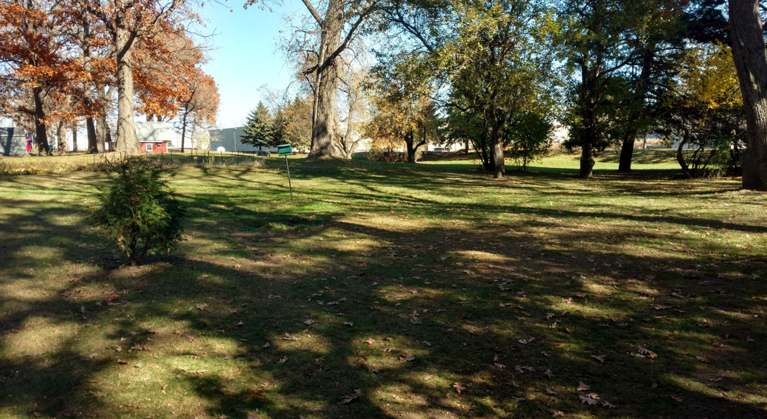 A park scene with trees transitioning to autumn colors, grassy lawn, and shadows cast across the ground on a sunny day.
