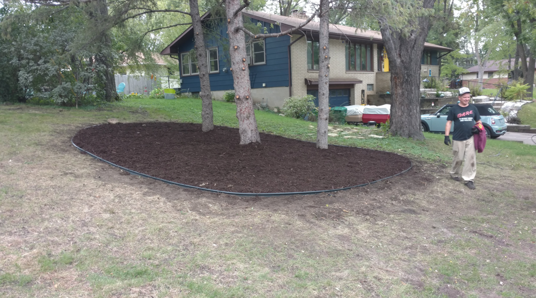 A person walks near a large, newly mulched tree bed in a residential yard.