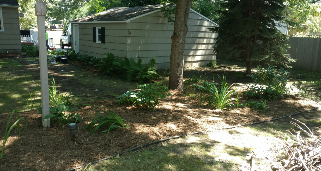 A garden bed with mulch and green plants under a tree, with a light-colored garage in the background.