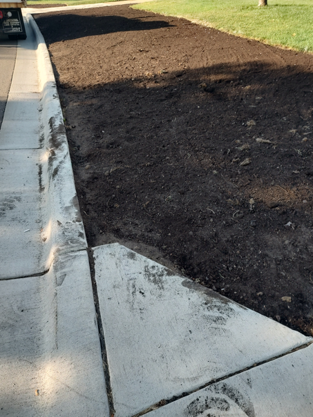 Freshly spread dark brown topsoil fills a rectangular strip of ground between a concrete curb and a grassy lawn.
