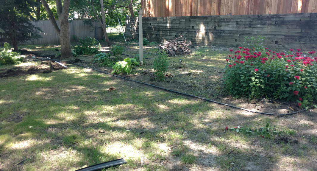 A backyard with green grass, a small dark dog standing near a flower bed, and a wooden fence in the background.