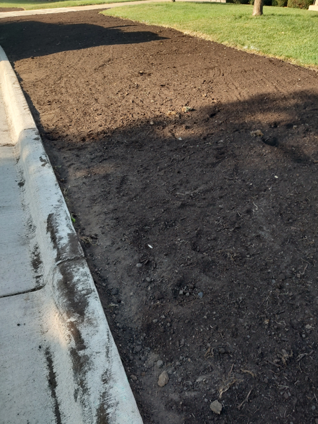 A patch of dark, tilled soil borders a concrete curb and an adjacent grassy lawn.