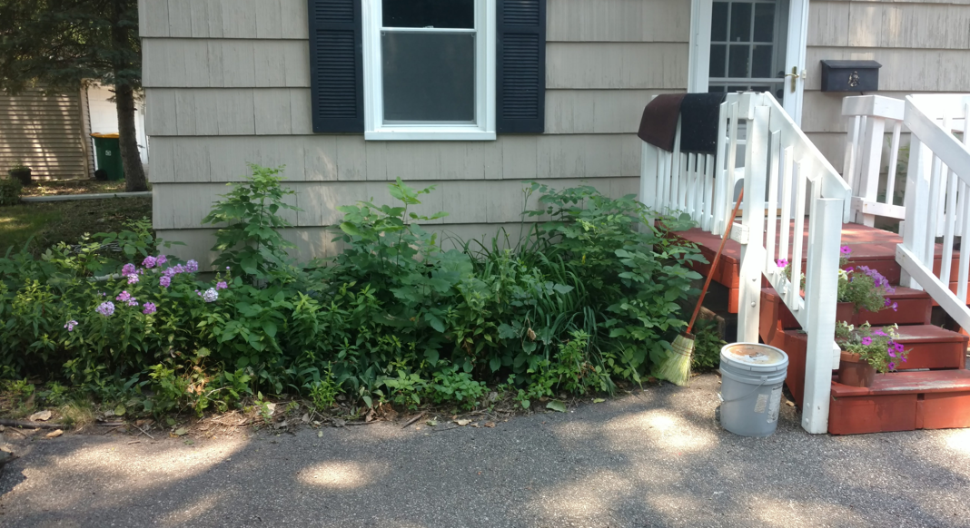 The side of a house with light tan siding, a window with black shutters, and red steps with a white railing.