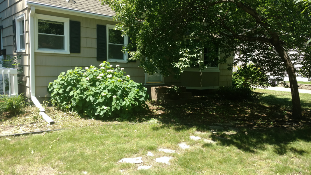 A light brown house with dark shutters, a large green bush, and a tree in the front yard.