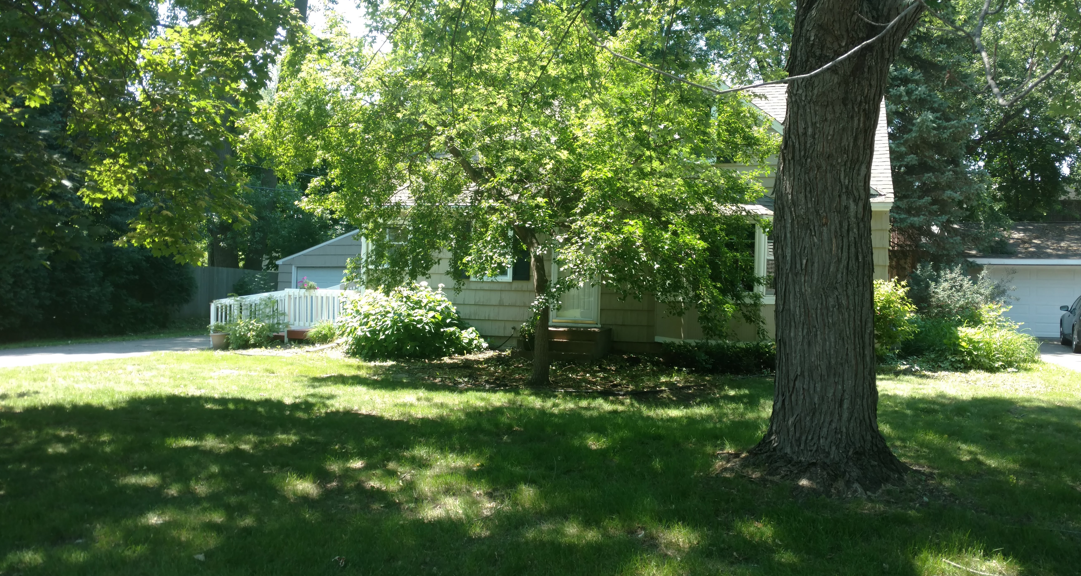 A shaded, grassy front lawn leads toward a multi-story house partially obscured by lush green trees and shrubs.