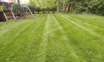 A freshly mowed green lawn with visible grass stripes, featuring a wooden playground structure in the corner.