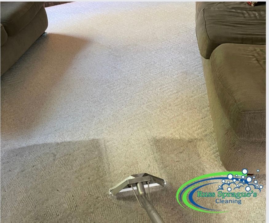 Carpet cleaning machine head on beige living room carpet between two sofas