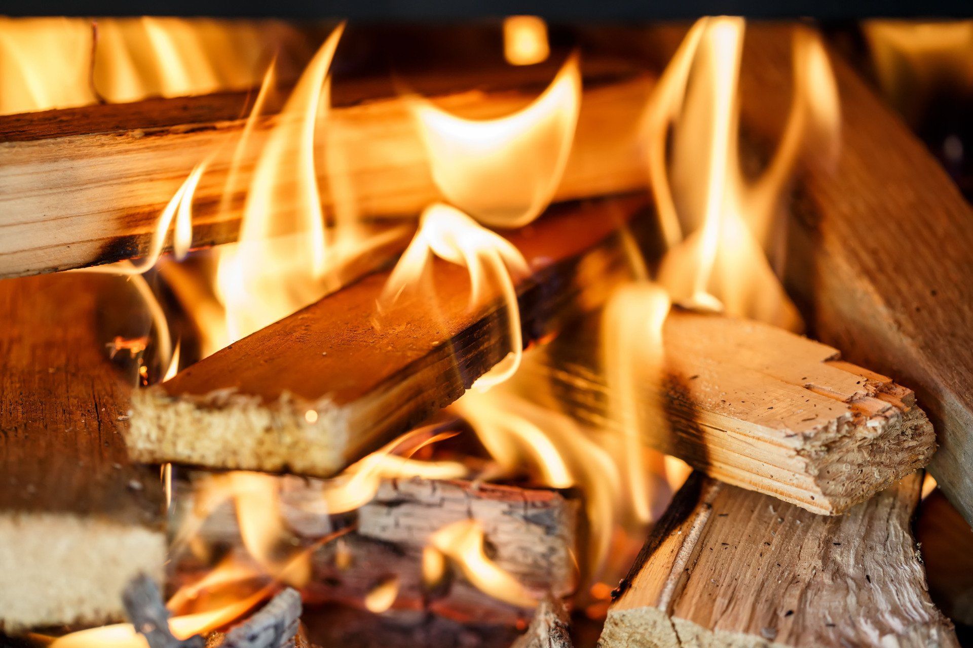 Firewood
