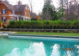 Stonebridge Landscape & Masonary - gallery