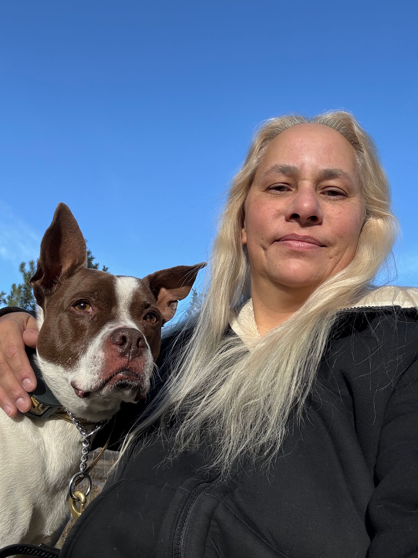 Woman with long blonde hair hugs a brown and white dog; clear blue sky background.