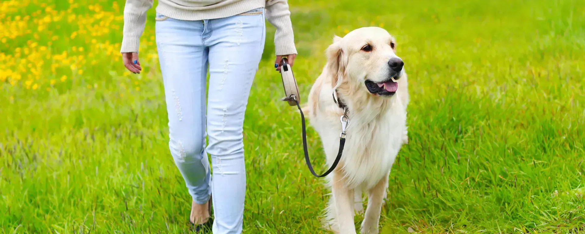 Canine Psychology Center LLC