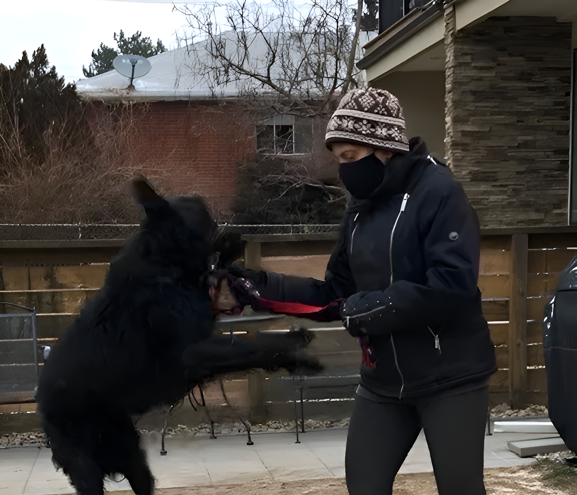 Canine Psychology Center LLC