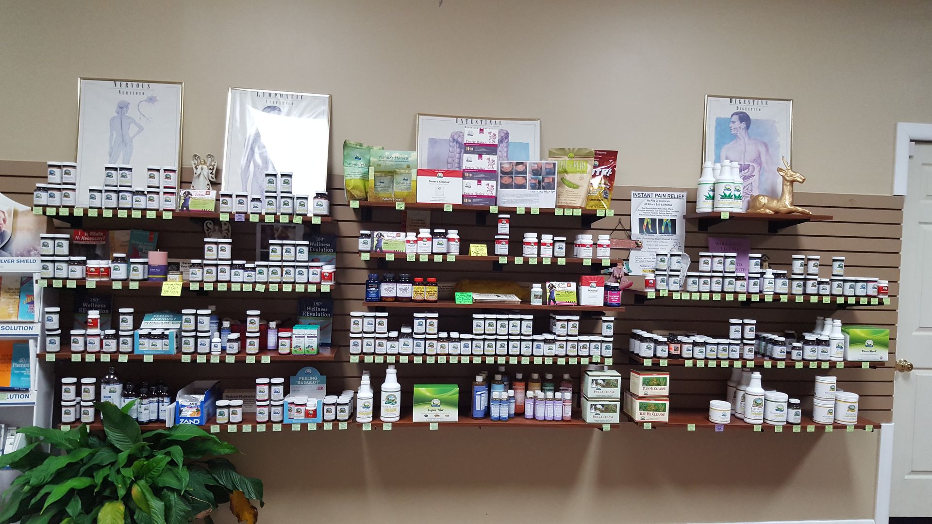 A shelf filled with lots of bottles and jars
