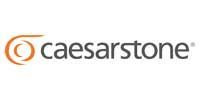 Ceasar Stone logo