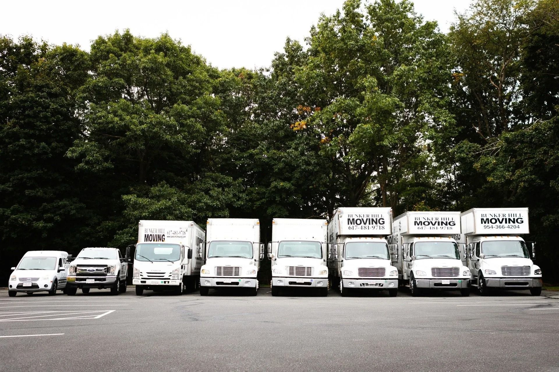 A fleet of white moving trucks and two smaller vehicles parked in a row in front of a dense line of green trees.
