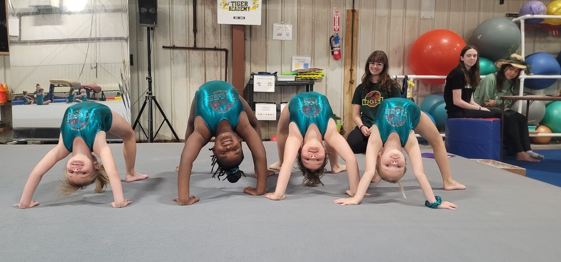 A group of young girls are doing handstands in a gym.